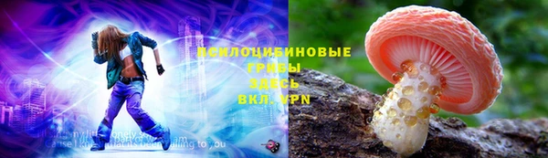 хмурый Болотное