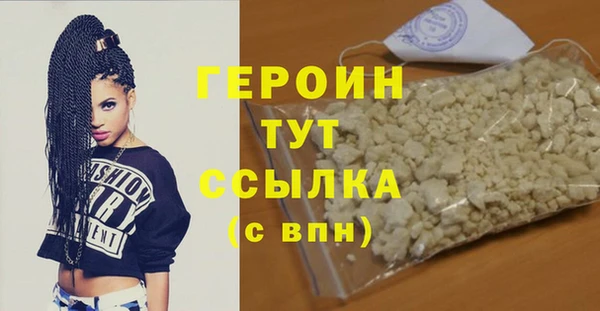хмурый Болотное