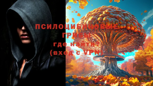 скорость Осинники