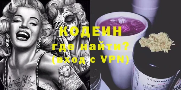 хмурый Болотное
