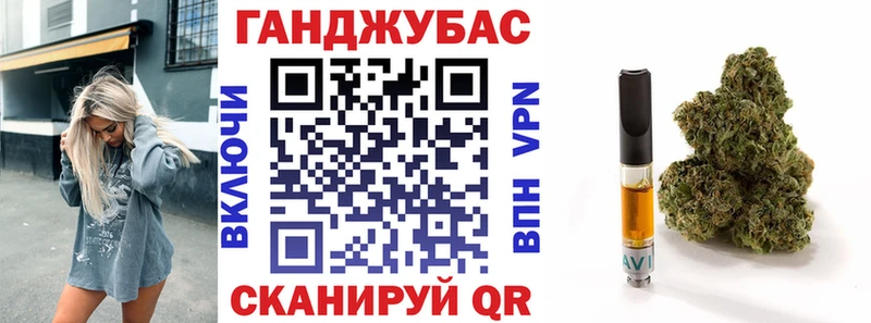 где найти   Любим  Канабис сатива 